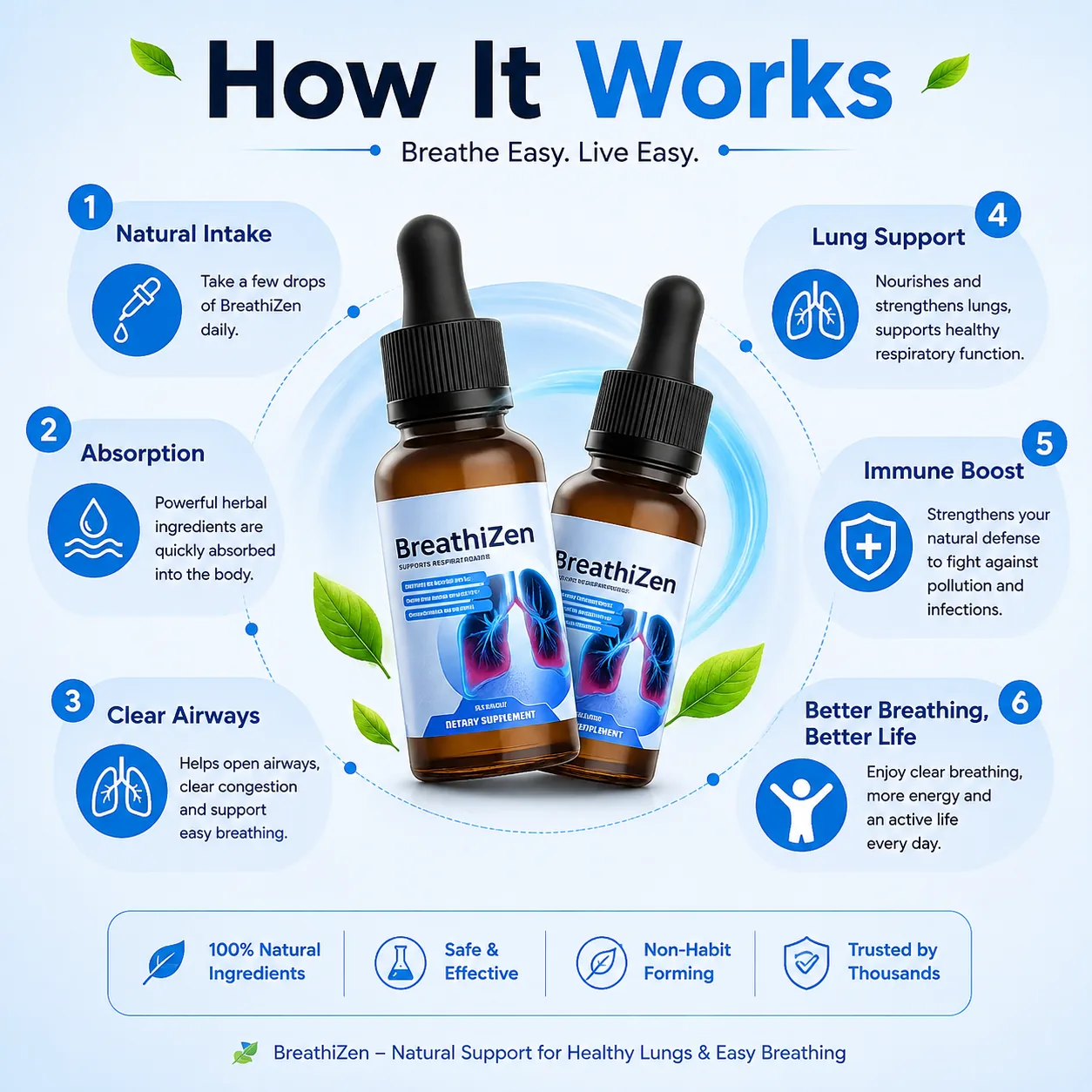 Diagram showing how Breathizen supports clear breathing, respiratory function, lung health, and immune health